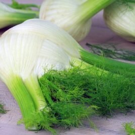 Fennel Seeds