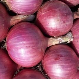 Red Onion